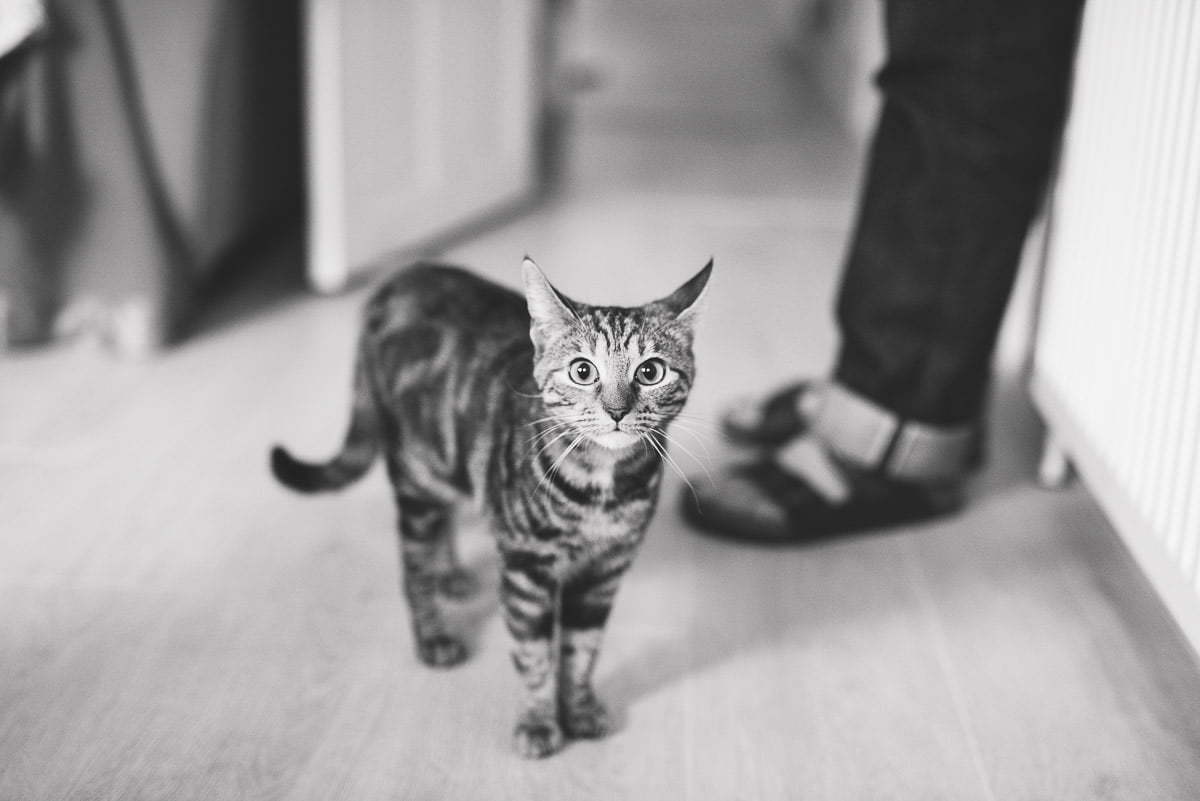 Documentary Norwich Wedding Photography