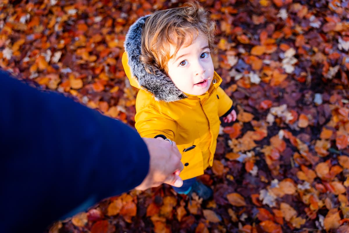 Autumnal woodland family lifestyle photography by Norwich photographer